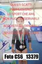 CS6_13379
