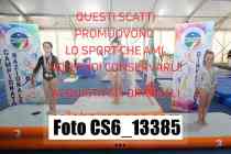 CS6_13385