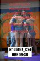 06197_C24