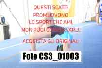 CS3_01003-