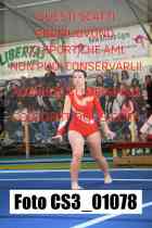 CS3_01078-