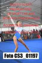 CS3_01197-