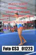CS3_01223-