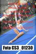 CS3_01230-