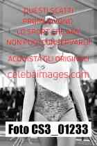 CS3_01233-