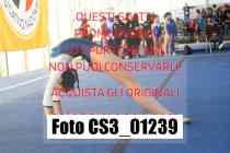 CS3_01239-