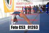 CS3_01263-