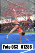 CS3_01286-