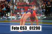 CS3_01290-