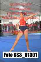 CS3_01301-