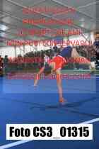 CS3_01315-