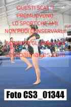 CS3_01344-