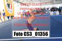 CS3_01356-
