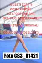 CS3_01421-
