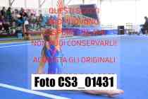 CS3_01431-