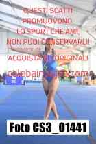 CS3_01441-