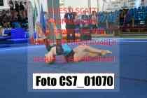CS7_01070