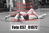 CS7_01072