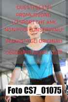 CS7_01075