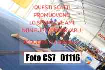 CS7_01116