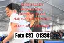 CS7_01338