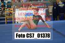 CS7_01378