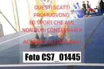 CS7_01445