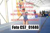 CS7_01446
