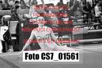 CS7_01561