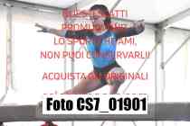 CS7_01901
