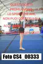 CS4_00333-