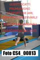 CS4_00813-