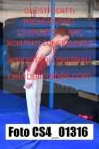 CS4_01316-