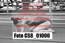CS8_01000-