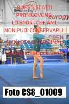 CS8_01009-