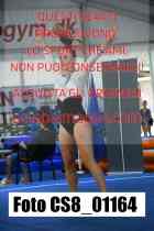 CS8_01164-