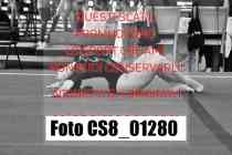 CS8_01280-