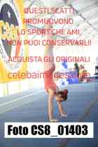 CS8_01403-