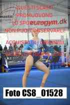 CS8_01528-