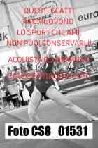 CS8_01531-