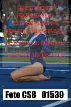 CS8_01539-