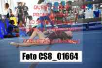 CS8_01664-