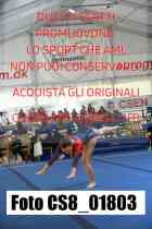 CS8_01803-