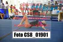 CS8_01901-