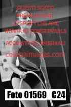 01569_C24