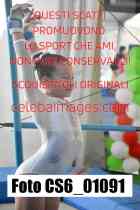 CS6_01091-