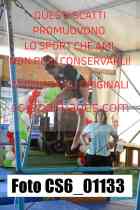 CS6_01133-