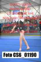 CS6_01190-