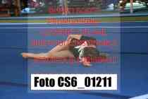 CS6_01211-