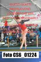 CS6_01224-